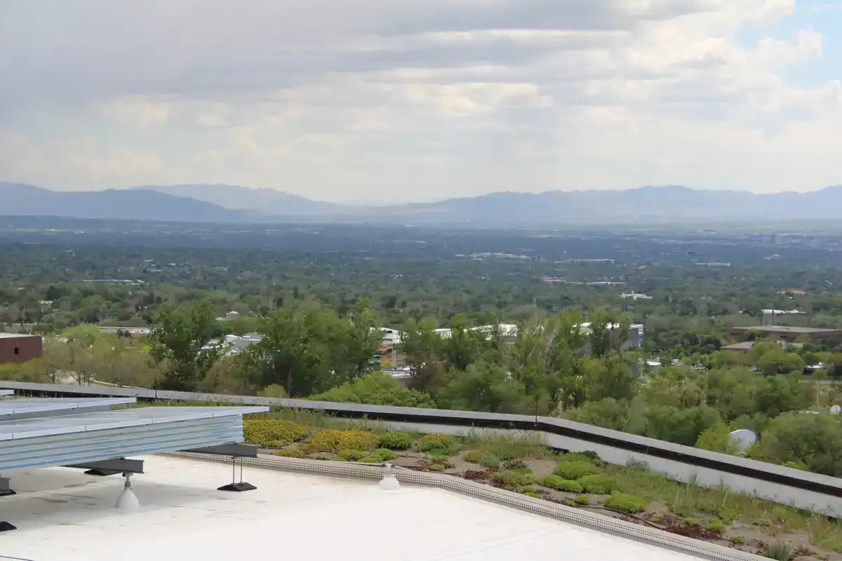 Schule mit Lernbeeten und Insektenhabitaten auf dem Dach
